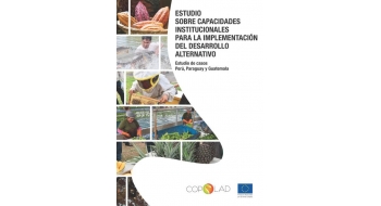 Estudio sobre capacidades institucionales para la implementación del desarrollo alternativo. Estudio de casos: Perú, Paraguay y Guatemala